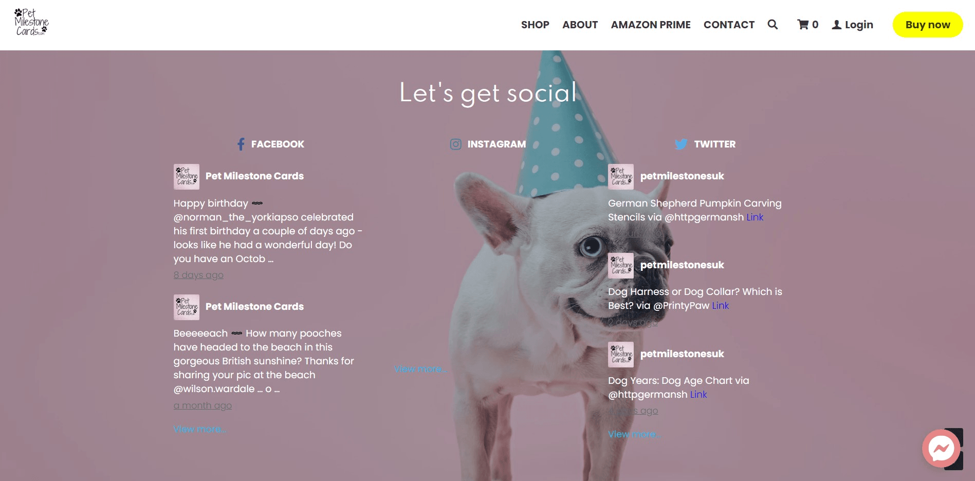 Pet Milestone Cards Strikingly Site Pet Milestone Cards Strikingly Site